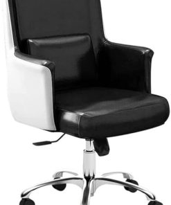 Ergonomic Adjustable Computer Chair with Lumbar Support for Office 2