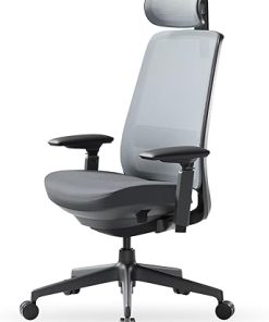 COLAMY Ergonomic Office Chair with Lumbar Support and Adjustable Headrest
