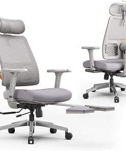 Ergonomic Newtral Office Chair with Footrest and Lumbar Support