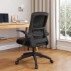 SIHOO Doro S300 Ergonomic Office Chair with Lumbar Support and Armrests 4