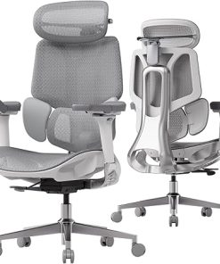 Hbada E3 Pro Ergonomic Office Chair for Big and Tall Users 2
