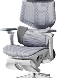 Hbada X7 Smart Ergonomic Office Chair with Adjustable Lumbar Support 2
