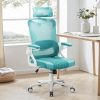 Ergonomic Office Chair with Adjustable Lumbar Support and Headrest 3