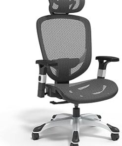 Hyken Ergonomic Task Chair with Lumbar Support for Home and Office