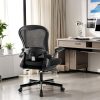 Eureka Ergonomic Mesh Office Chair with Lumbar Support and Headrest 3