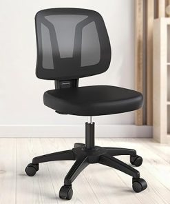 Small Office Desk Chair with Height Adjustable Back Support 2