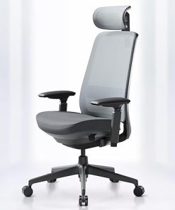 COLAMY Ergonomic Mesh Office Chair with Lumbar Support and Headrest