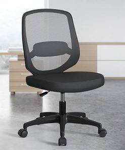 Height Adjustable Armless Mesh Office Chair for Kids and Adults