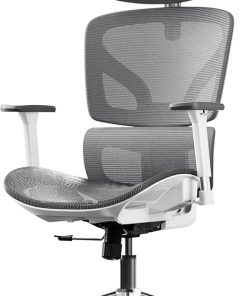 Hbada Ergonomic Office Chair with Adjustable 3D Armrests and Headrest