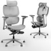 Ergonomic Mesh Office Chair with Footrest and Lumbar Support 4