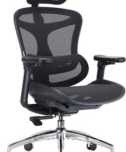 SIHOO Doro C300 Ergonomic Office Chair with 3D Armrests and Support
