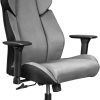Ergonomic Newtral Office Chair with Lumbar Support and Footrest 3