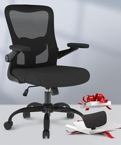 FLEXISPOT Ergonomic Mesh Office Chair with 4D Armrests and Lumbar Support