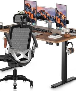 Gabryilly Ergonomic Office Chair and Adjustable Standing Desk 55×24