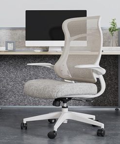 Ergonomic Comfy Office Chair with Back Support and Flip-up Arms 2