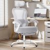 Hbada P1 Ergonomic Office Chair with Lumbar Support and Adjustable Headrest 4